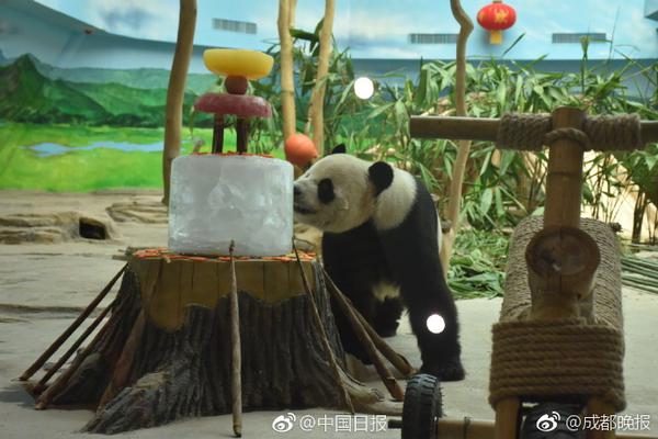 东莞茶山小巷子多少钱,东莞茶山小巷子多少钱一个