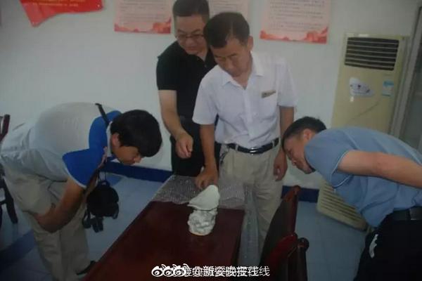 上海贵族宝贝论坛网友自荐:新手必看!超详细入门避坑指南,上海贵族宝贝真的假的