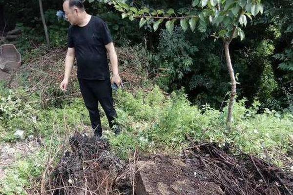 38元入会免费约什么套路 _ 软件库合集,38元套餐永久入会