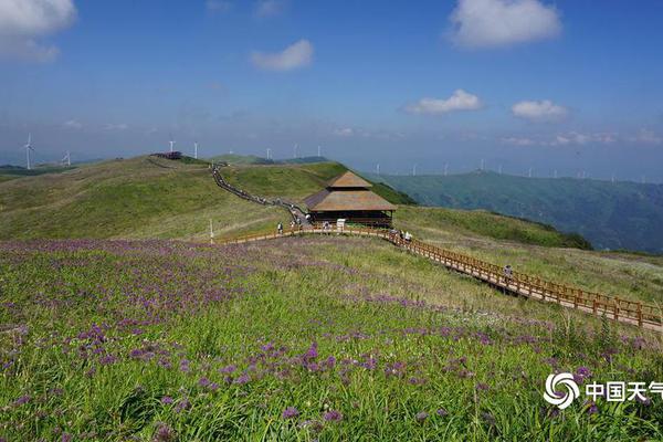 全国各地品茶网 _ 地板鞋,全国品茶信息是真的吗