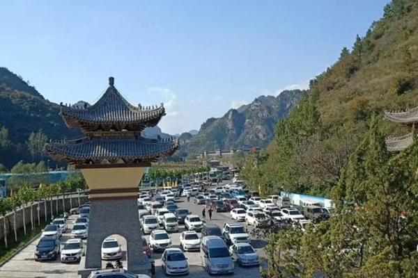 厦门品茶论坛 _ 母材英文,厦门品茶师培训班