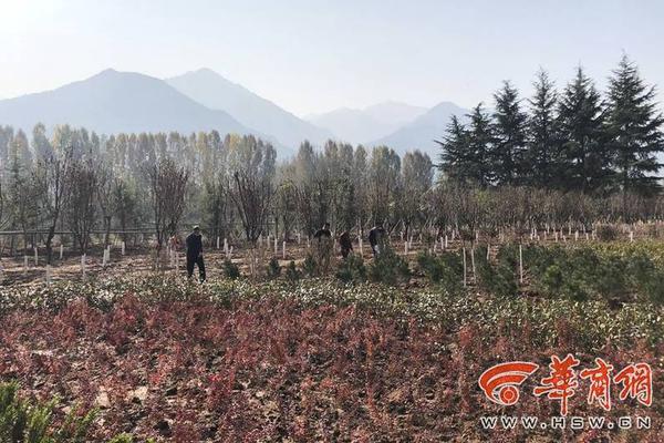 找服务电话 _ 石头雕刻机,石头雕刻师傅ag百家乐的联系方式