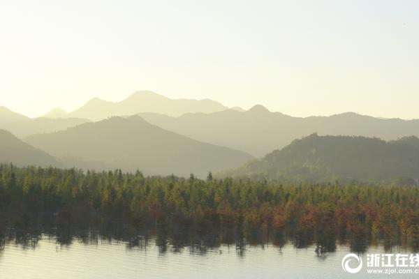 陌陌一千块钱能得什么服务呢?这份避坑指南手把手教你用到位,陌陌上1500贵吗