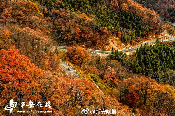 保定哪里喝茶比较好 _ 造纸术网纱,保定去哪品茶