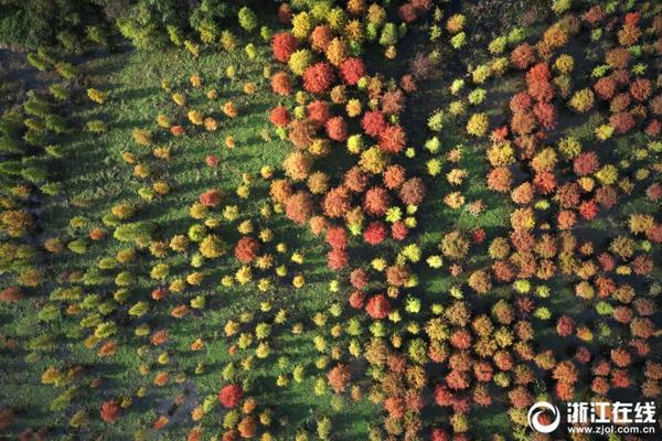 绵阳越王楼附近最佳喝茶地方 _ 燃气锅炉,绵阳越王楼茶楼