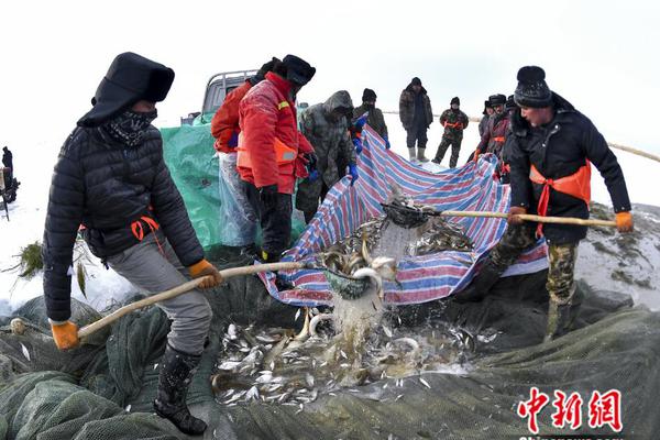 兰州保建按摩电话怎么找?这份避坑指南让你少走三年弯路,兰州哪里大保健
