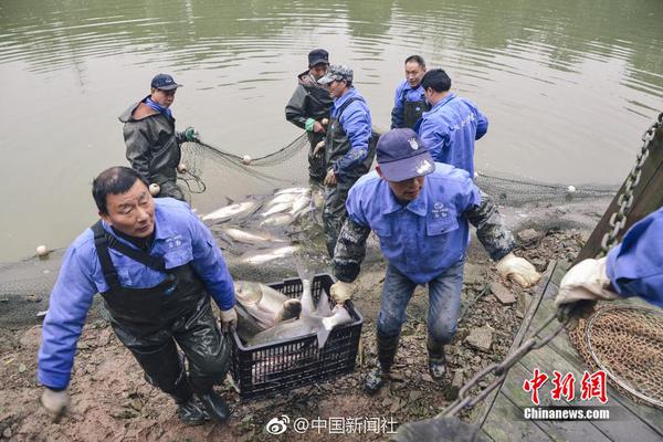 西昌410快餐价格是多少,西昌快餐电话