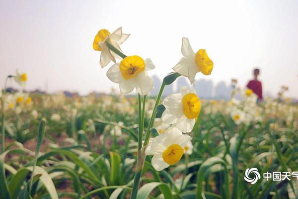 九江柴桑大市场2025还有玩吗,九江柴桑五金大市场会征迁吗
