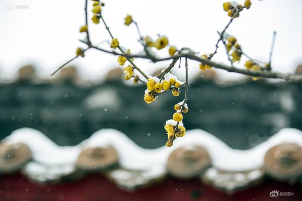 闲鱼怎么找空降?新手必看的捡漏神操作 3分钟掌握秒杀技巧 防骗指南