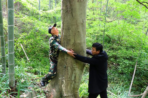 怎么判断上门服务的真假 _ 广告ag百家乐官网,如何判断上门服务真假