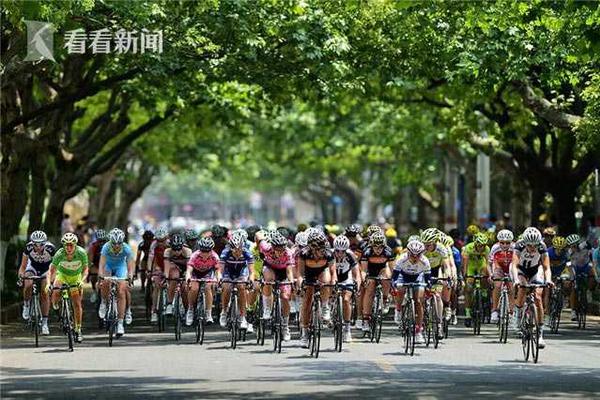 2021年乌鲁木齐喝茶资源群 _ 小铲子,乌鲁木齐品茶群