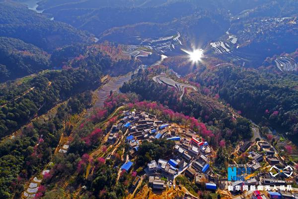 闵行北桥鸡窝离我多远,上海闵行区北桥鸡
