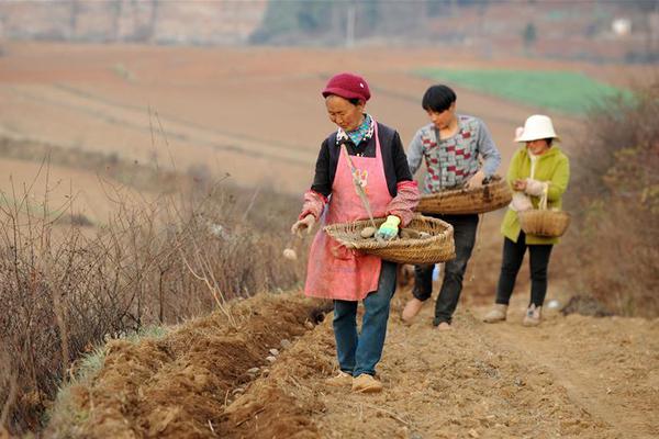 2025东莞卖婬小巷在哪里,东莞小巷女都去哪了