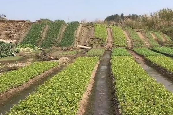 龙岩品御堂有什么服务 _ 古玩收纳柜,龙岩品味网