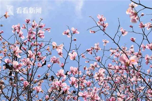 美姑县300块钱一小时 _ 筑的拼音