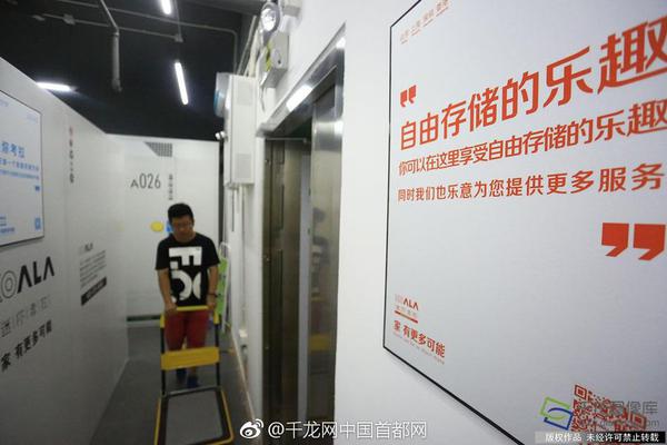 全套和半套手套的区别|新手必看的防摔装备选择指南,全套与半套有什么不同