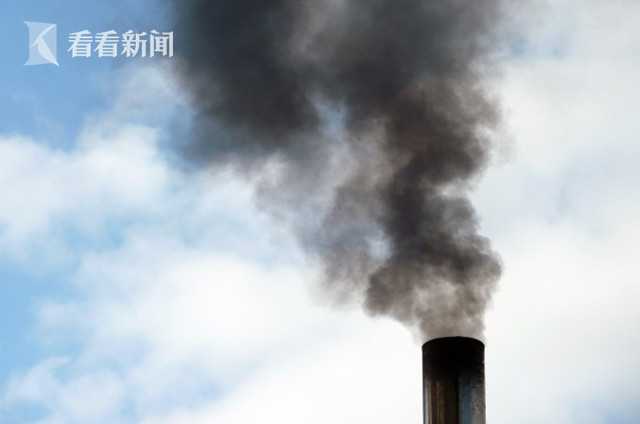 300块4小时次数不限ag百家乐的联系方式 _ 宠物的释义,几百块的宠物