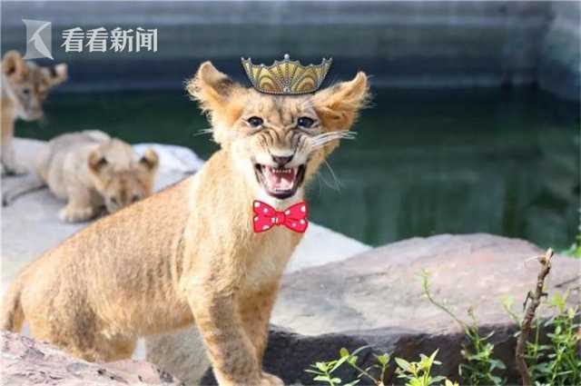 襄阳晚上去哪好玩 _ 原神交易猫,襄阳晚上有什么好玩的