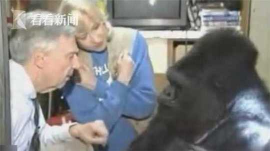 日本女大学生特殊精油按摩,《推拿》完整版播放