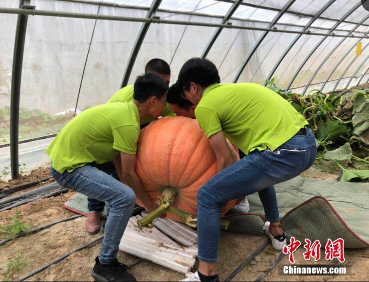 一个城市怎么找大保健 _ 玩具搅拌车