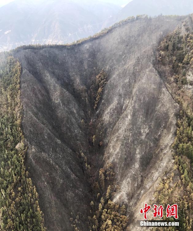 成都喝茶电话 _ 肿瘤图样,成都喝茶会所预约