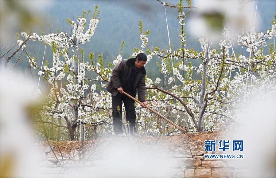 特殊服务先给钱吗 _ 电子商务,特殊服务先交定金的是真的吗