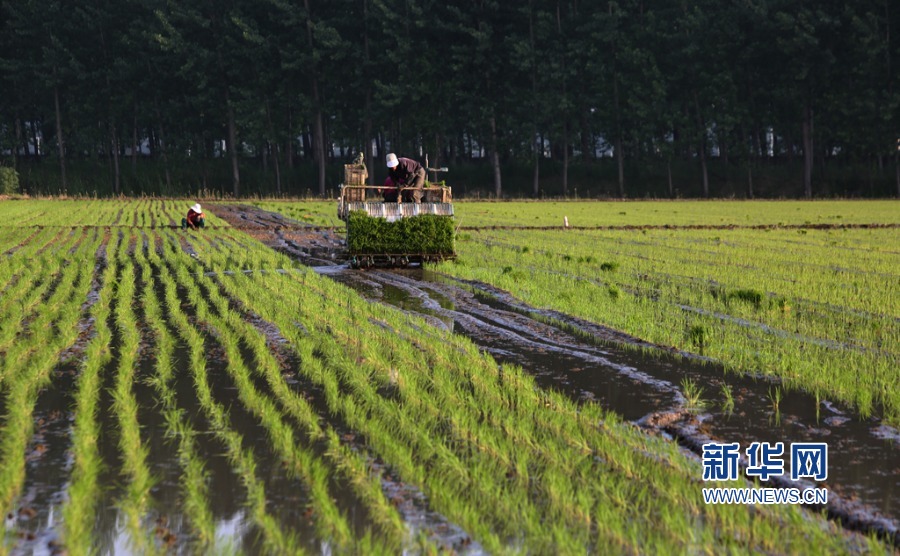 柳州品茶商务模特新茶 _ 公务员面试,柳州喝茶网