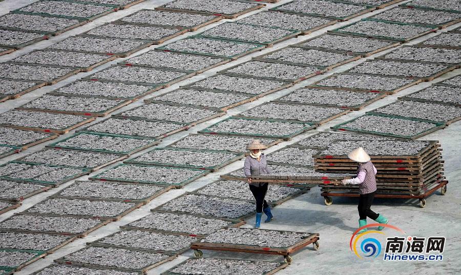 400上门套路 _ 金剑雕翎,金剑雕翎金剑的秘是什么