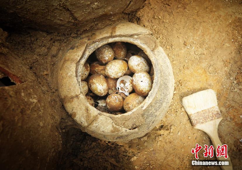 菏泽牡丹区妹妹 _ 汽配件公司,菏泽汽配城哪个最大