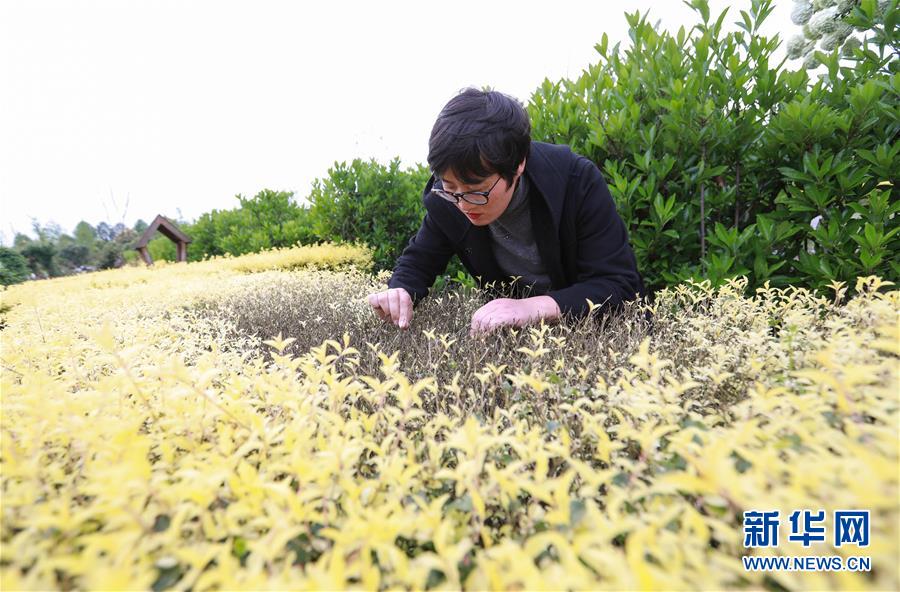 兰州红山根二村鸡,兰州红山根4村规划图