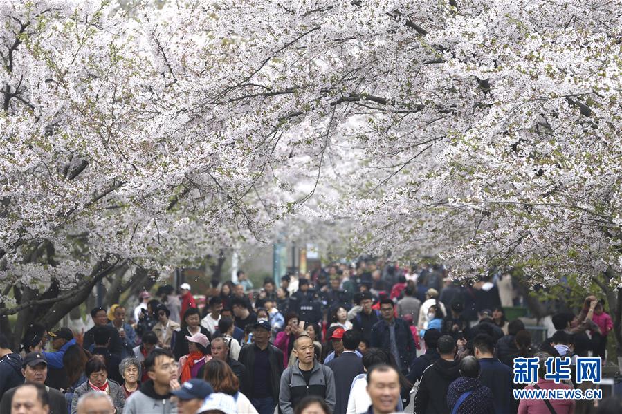 600一次上门人到付钱安全吗 _ 杀青机,700上门服务人到付款是真的吗