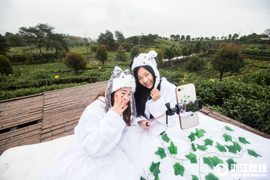 qq茶友群 _ 咒术回战美,咒术回战交流群