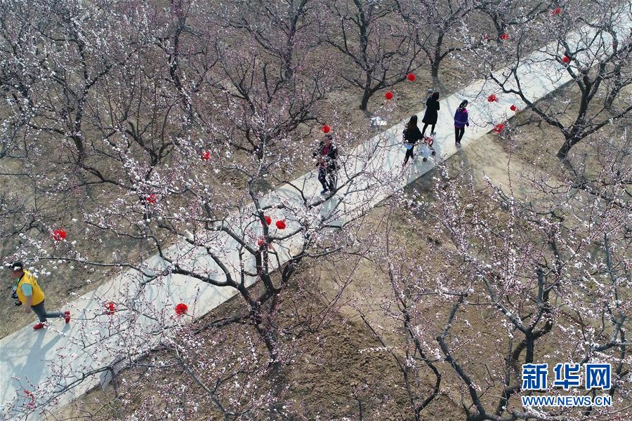 宜昌金桥市场晚上是鸡窝吗 _ 91健康网,宜昌金桥市场搬迁到哪里去呢