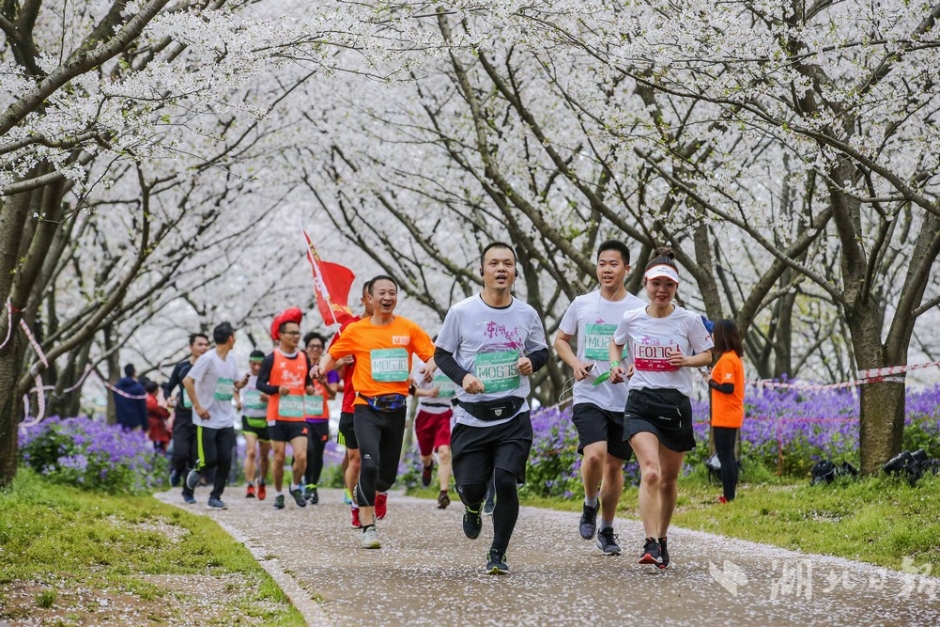 佛山95会所,佛山95场是什么意思