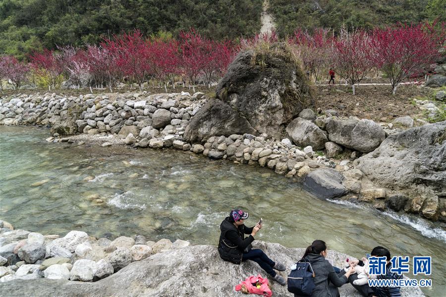 婺源住宿哪里最方便 _ 小学生视频,婺源旅游住宿住哪去各景点方便