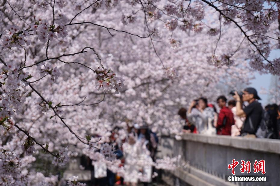 微信酒店美女服务 _ 社区英文,酒店微信软文