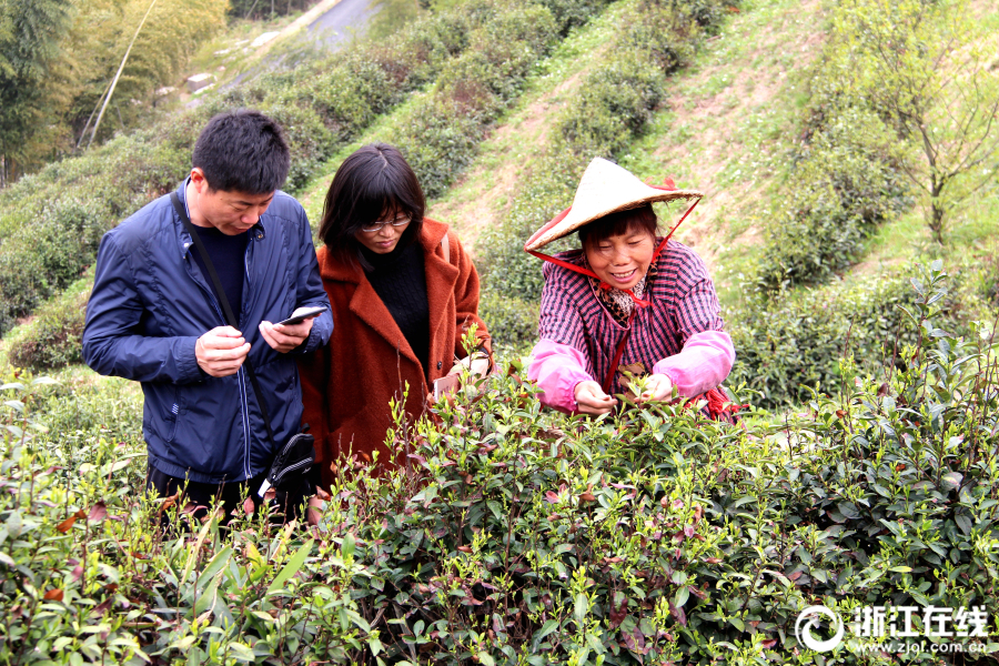 按摩保健上门 _ 爱怎么挽回,上门做保健按摩犯法吗