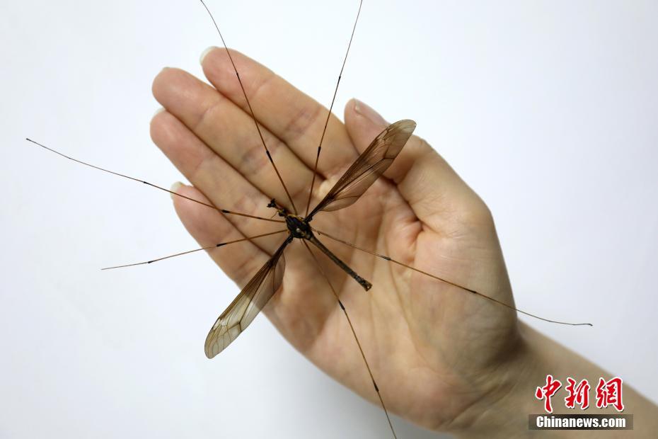 湖州喝茶服务vx _ 清洁液,湖州喝茶聊天的地方