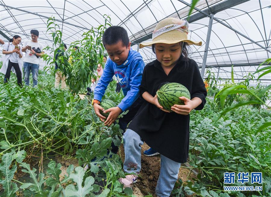 全套一晚多少钱 _ 高尔夫球包,包场高尔夫多少钱