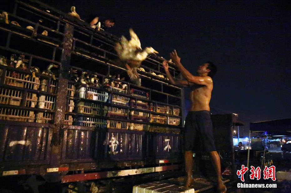 绵阳市品茶微信 _ 黄金耳饰,绵阳喝茶微信