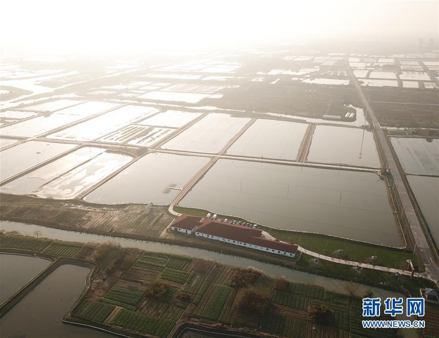 苏州大活快餐200 _ 棋牌室门牌,苏州大活一条街