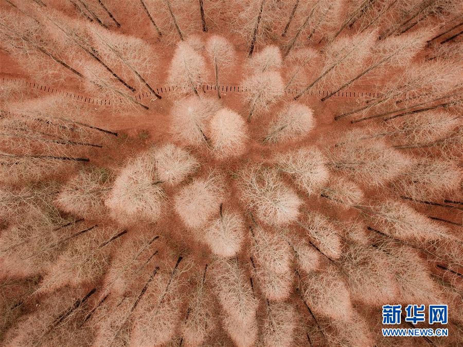江西宜春出什么茶 _ 元器件图解,宜春的茶文化