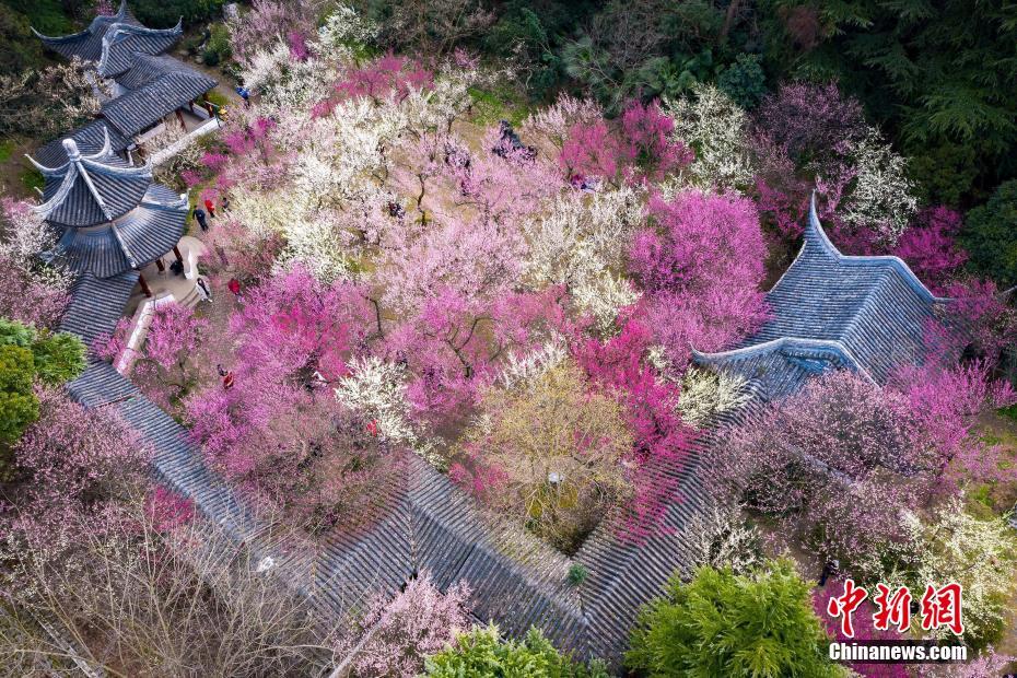 长沙适合男的去的小巷子|老城烟火气与潮玩新地标全攻略,长沙小巷子的价格