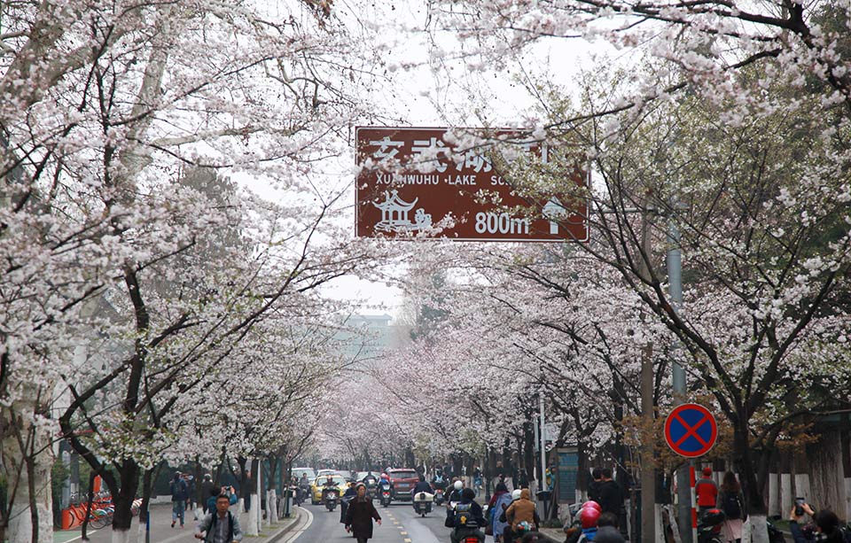 长春本地大活群 _ 很的拼音,长春本地群