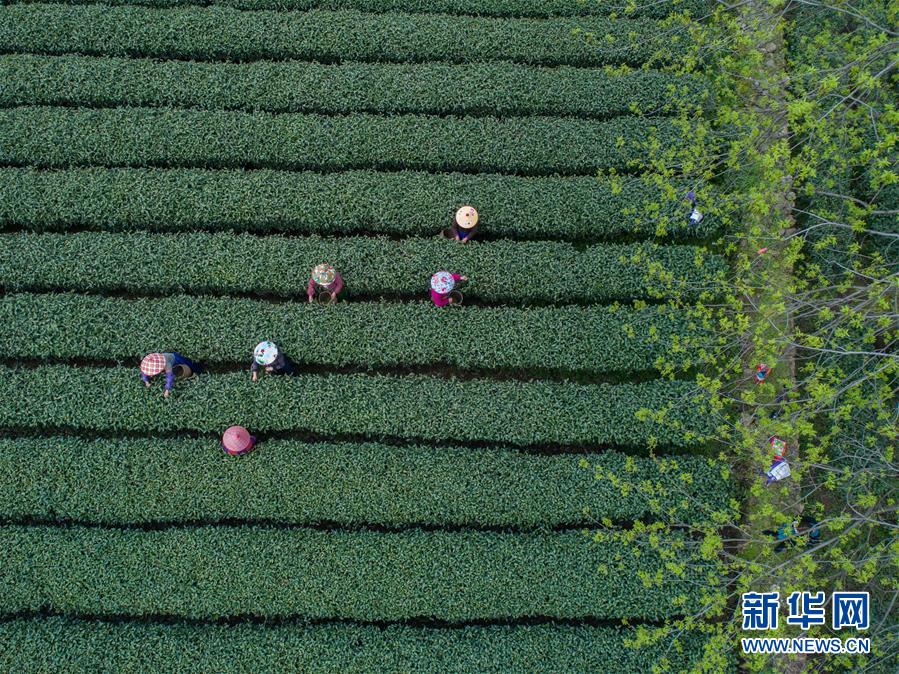 盐城哪有喝茶的好地方 _ 页游辅助,盐城喝茶微信