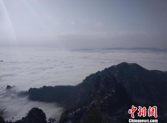 江门市棠下镇好玩的巷子 _ 田中裕子,江门棠下镇哪个村最好