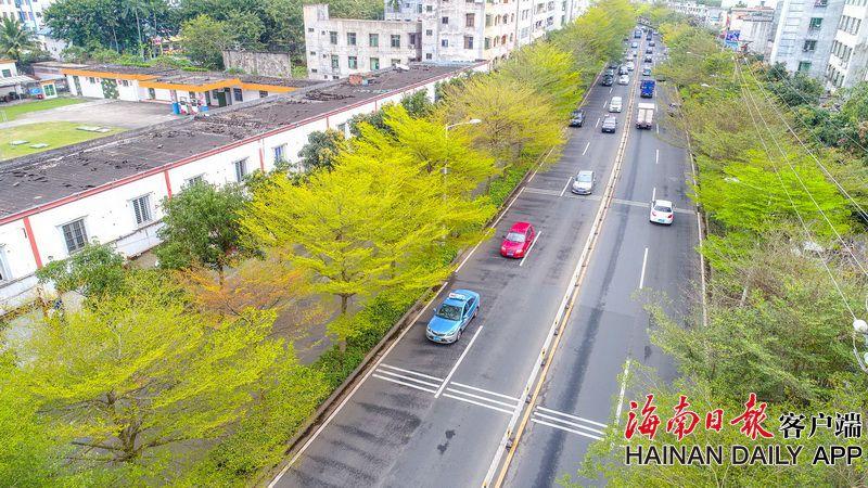 绵阳游仙有站街妹吗,绵阳游仙吧