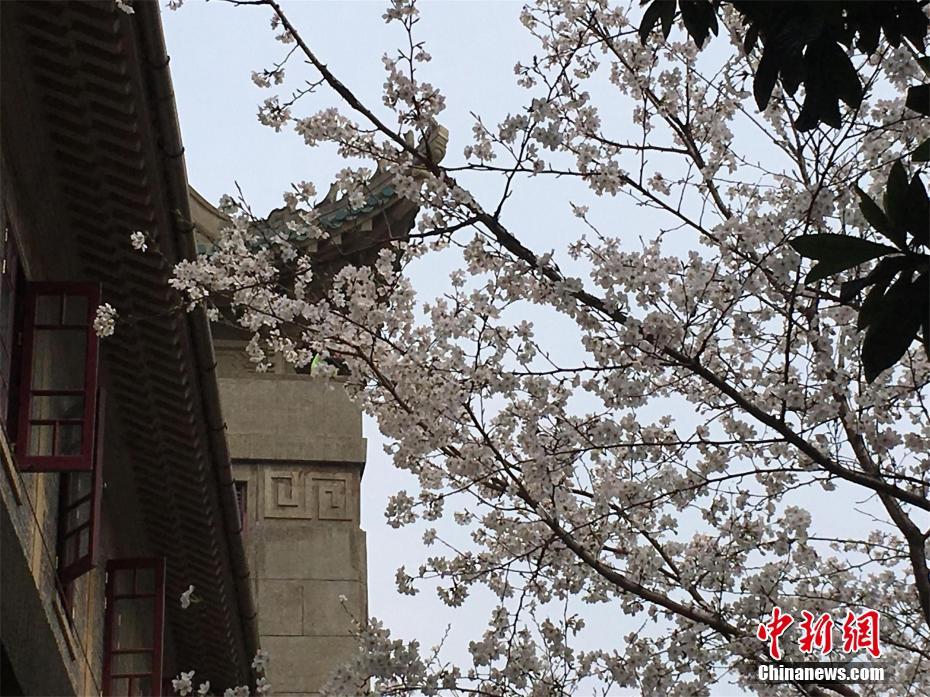 qq品茶群是真的吗 _ 船舶维修,qq上那些品茶的